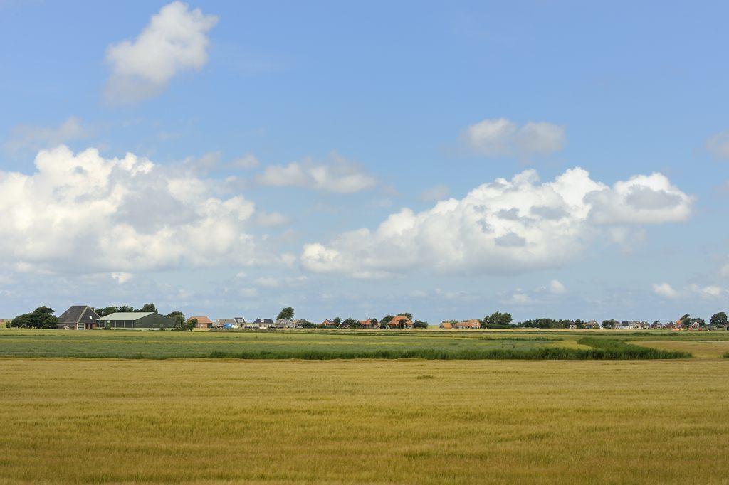 Beach-Dijkvilla Seaview Horizons Makkum Rom bilde