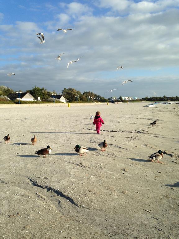 Beach-Dijkvilla Seaview Horizons Makkum Rom bilde